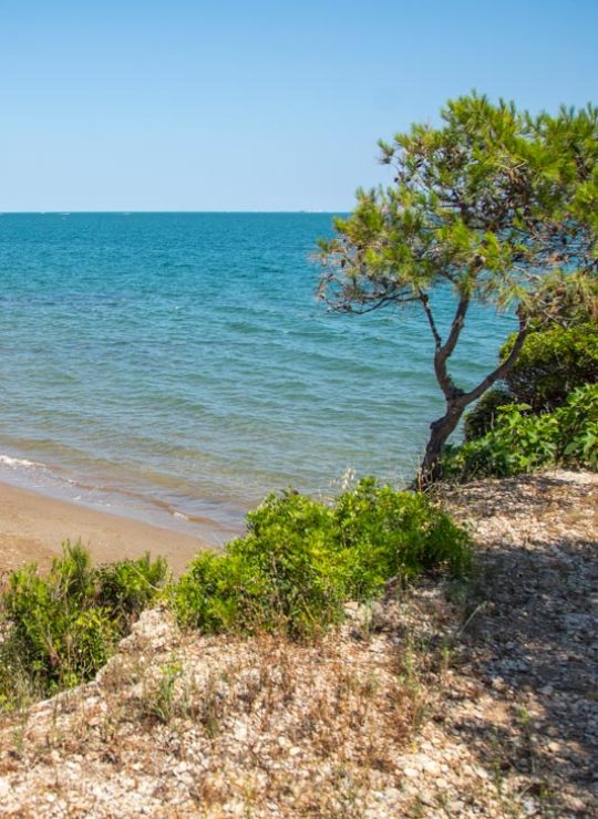 Alcanar Platja Alcanar Platja