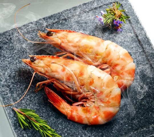 GASTRONOMIA GASTRONOMIA