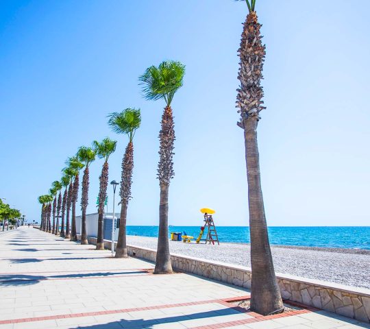 Platja del Marjal Platja del Marjal